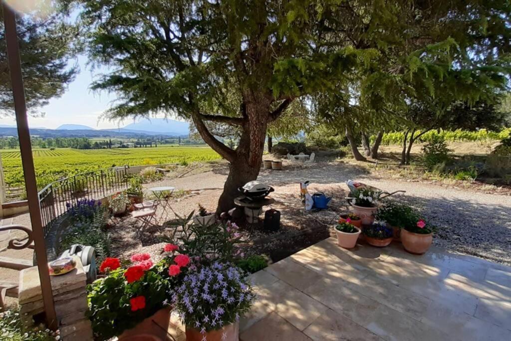 Le Clos Des Pins, Vue Mont Ventoux Roaix Екстериор снимка